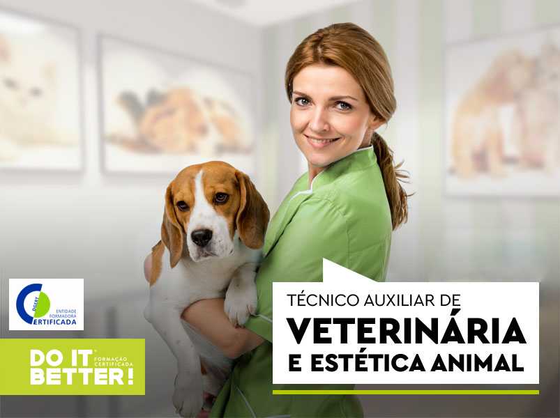 curso de auxiliar de veterinária curso de auxiliar de veterinária